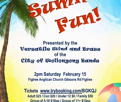 Summer Fun Concert Poster